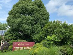 -桃花岛景观公园