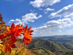 -天女山森林公园