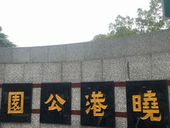 -晓港公园