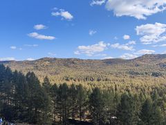 -莫尔道嘎国家森林公园