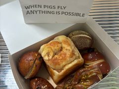 -WHEN PIGS FLY当猪飞
