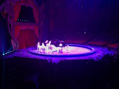 -珠海横琴长隆《卡卡虎奇遇记》