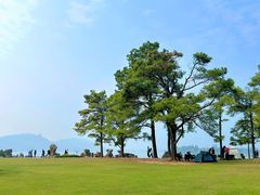 -东湖落雁景区
