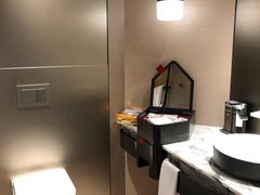 -新加坡瑞士史丹福酒店