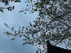 -乌江画廊(彭水苗族土家族自治县)