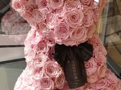 -ROSEONLY诺誓(广州K11店)