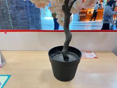 -吉野家(上海美罗城店)
