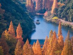 -宁海森林温泉