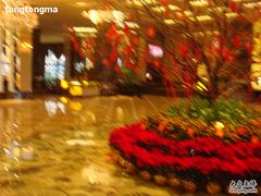 -上海浦东星河湾酒店