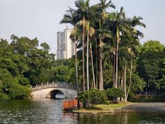 -荔湾湖公园