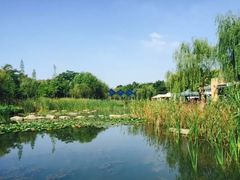 暨阳湖生态园-暨阳湖生态园