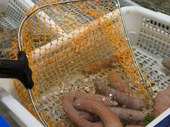 -品味居·首店·大连鲜活海鲜大连菜(东港店)