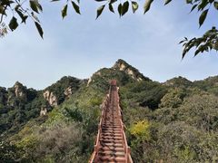 -大岭沟猕猴桃谷风景区