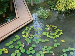 -云溪植物园
