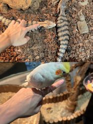 -Zoolung Zoolung动物主题公园(海信广场店)