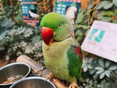 -南宫五洲植物乐园