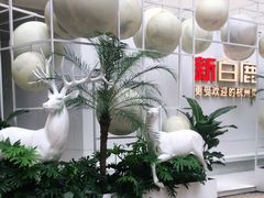 -新白鹿餐厅(松江开元地中海店)