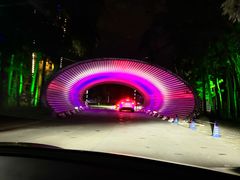 -枫花园汽车电影院(朝阳公园店)