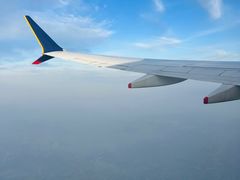 -新加坡航空公司(ION)