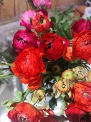 -今日陶艺(富力广场店)