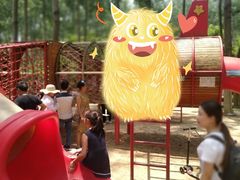 -合肥滨湖国家森林公园