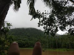 -呀诺达热带雨林