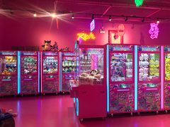 -BIG PINK大粉娃娃机主题馆(圆融星座店)