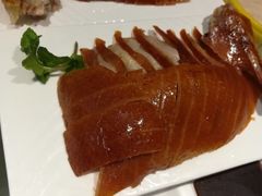-正阳春烤鸭(华捷道店)