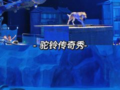 -华夏文旅西安度假区