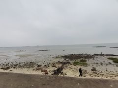 -北海金海湾红树林生态旅游区