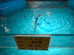 -拉完海鲜大排档(温岭店)