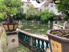 -碧江金楼