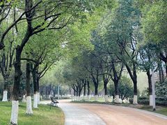-潜龙渠公园