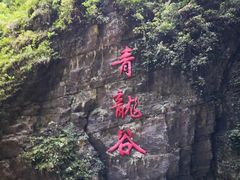 -阿依河景区