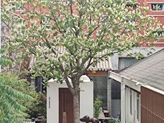 -CHURCH  BISTRO 教堂·餐吧