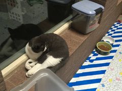 -驭力搏击健身(张江高科店)