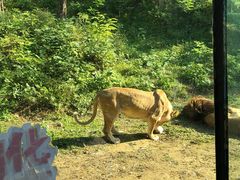 -石家庄市动物园