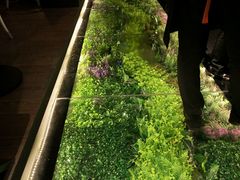 -炭舍干锅·烤鱼(扬名广场店)