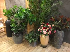 -唐沫茶兮(仓山万达金街店)