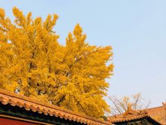 -故宫博物院(故宫)
