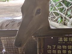 -长鹿旅游休博园