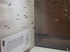 -临沂市博物馆