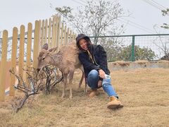 -盈香心动乐园