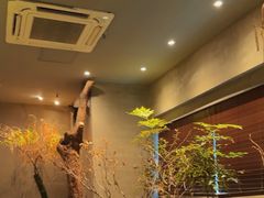 -森SPA·泰式按摩·精油Massage(宝安中心店)