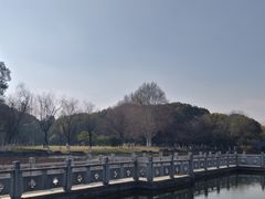 -范蠡湖公园