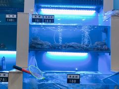 -老虎滩大连海鲜烧烤(建邺云锦路总店)