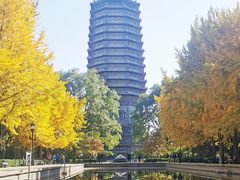-玲珑塔公园