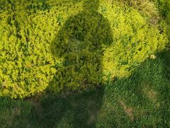 -龟山风景区-龟山电视塔