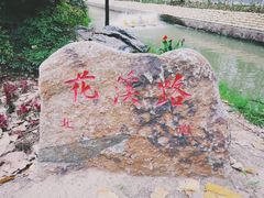 -合肥滨湖国家森林公园