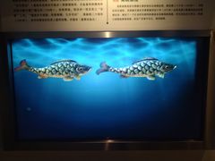 -白鹤梁水下博物馆